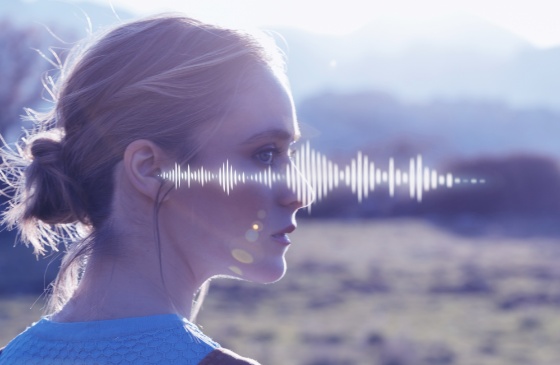 Ensure crystal-clear Voice Quality Ensure crystal-clear Voice Quality